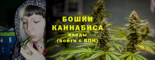МДПВ Козловка