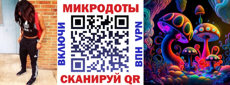 Галлюциногенные грибы Cubensis  Кочубеевское 